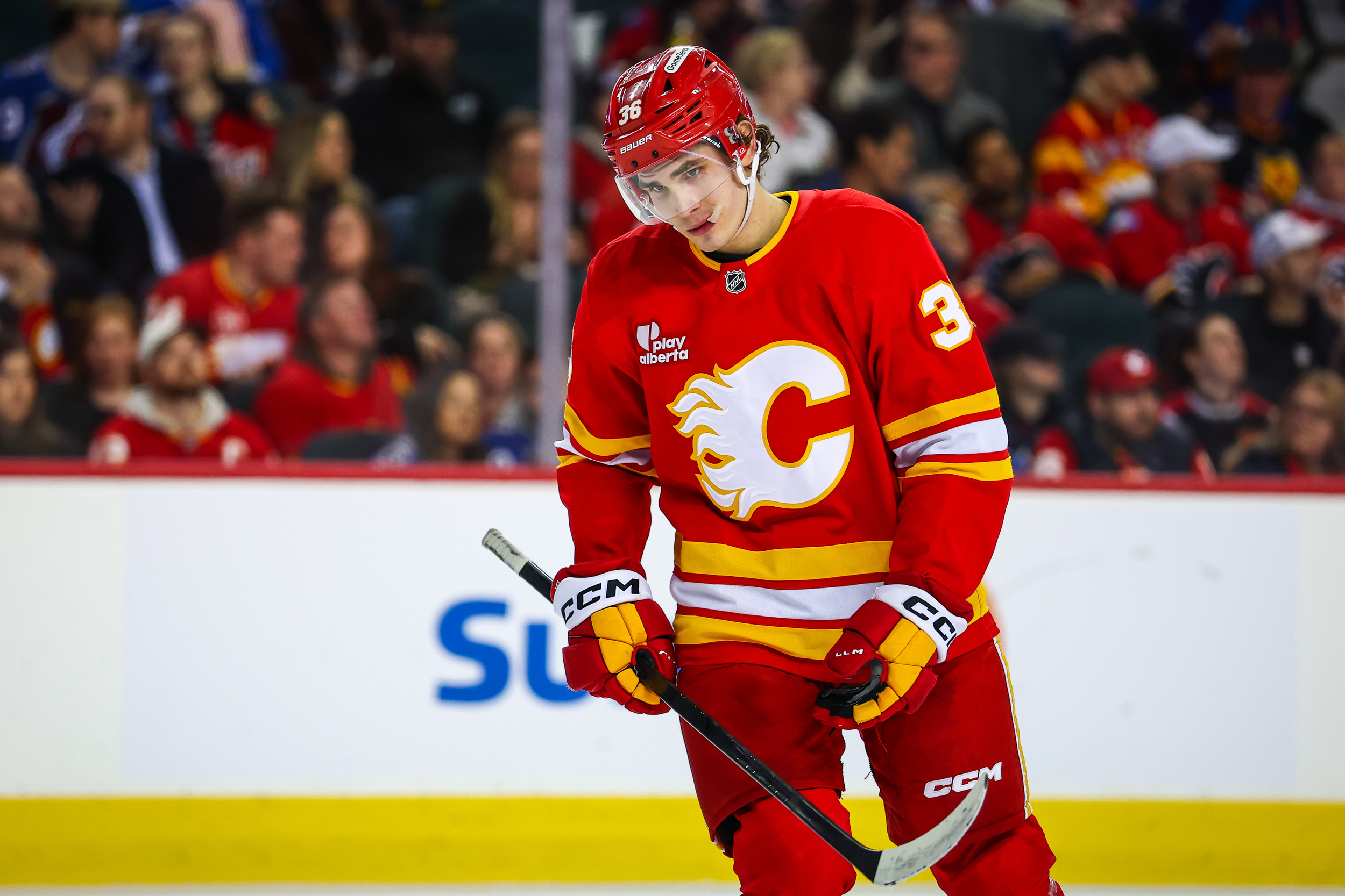 FN AHL report cards: Aydar Suniev’s mid-season jump opened the doors ...