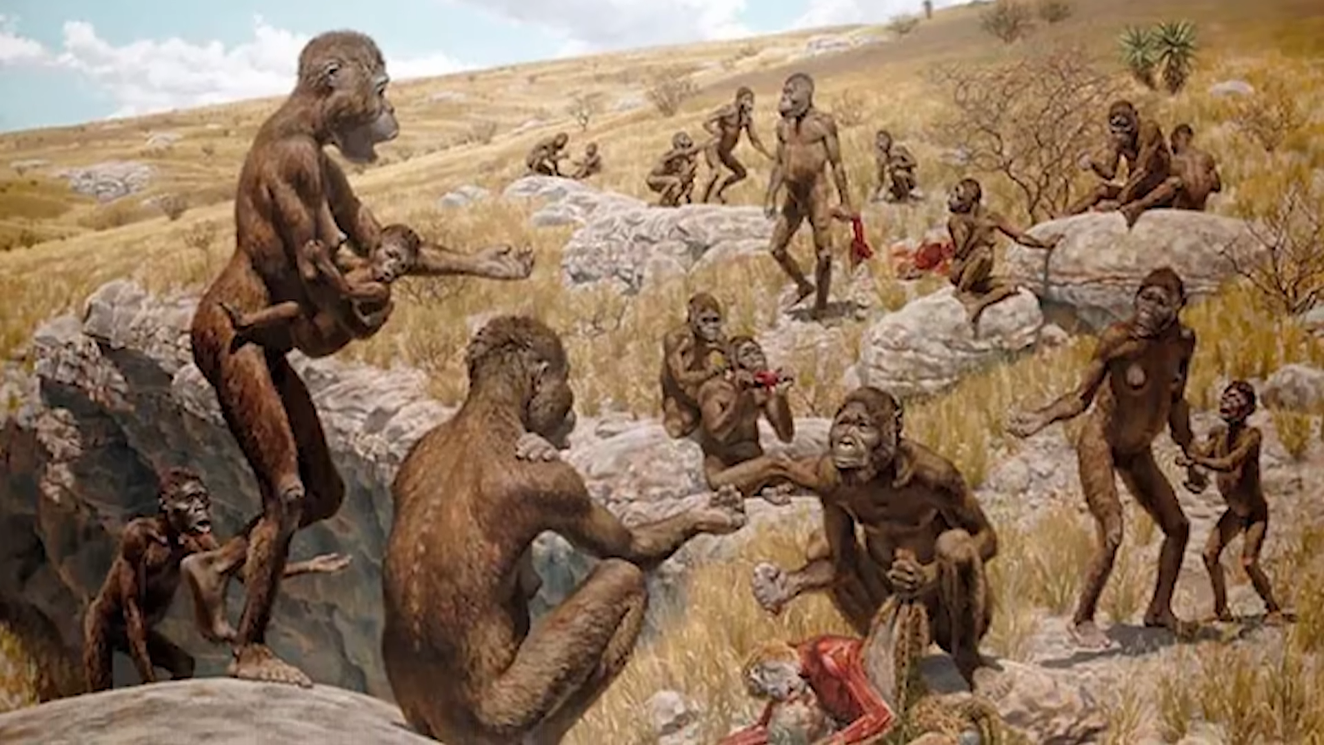 This video shows why early humans rarely survived past age 13