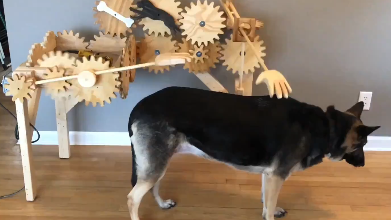 The machine that pets dogs when you’re busy