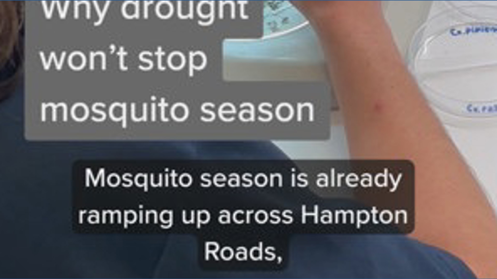 Why drought conditions won't stop mosquitoes in Hampton Roads