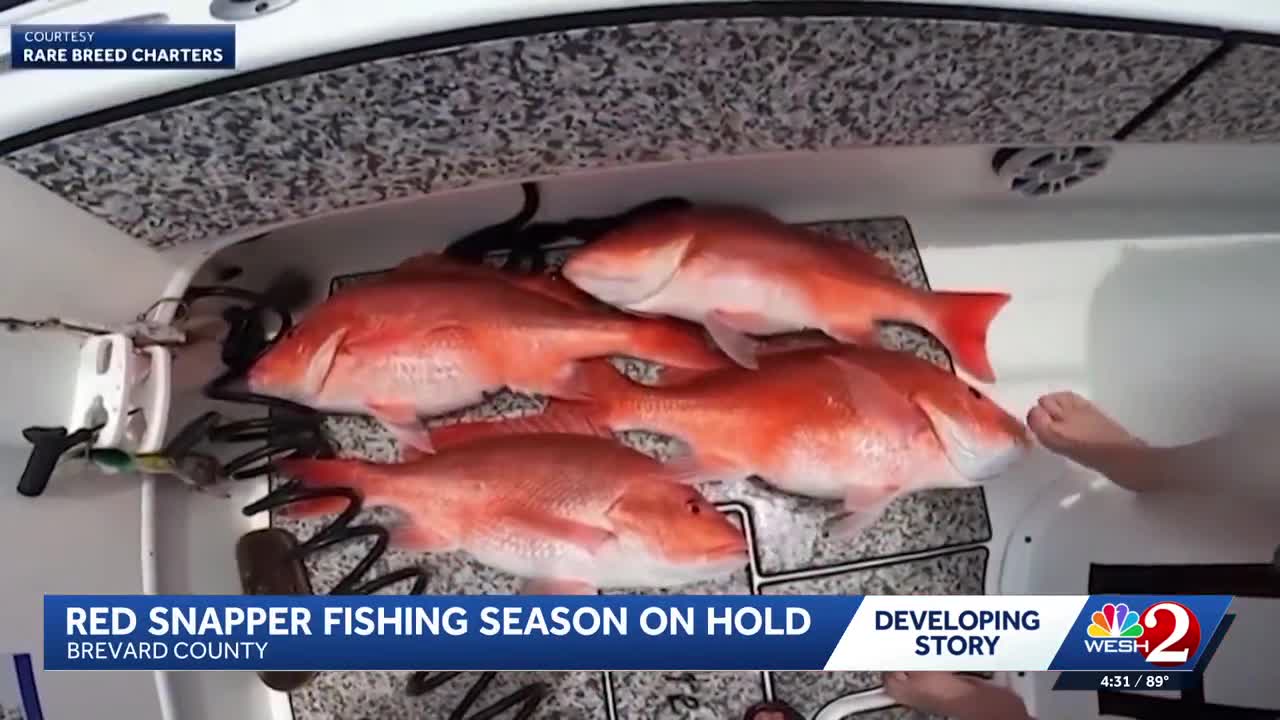 Federal judge halts Florida's expanded red snapper season hours before ...