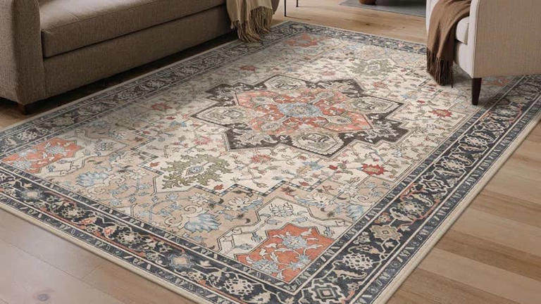 Get a stunning washable oriental area rug from Wayfair for under $100 ...