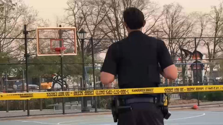 3 more teens charged in deadly shooting of 15-year-old at park in St ...