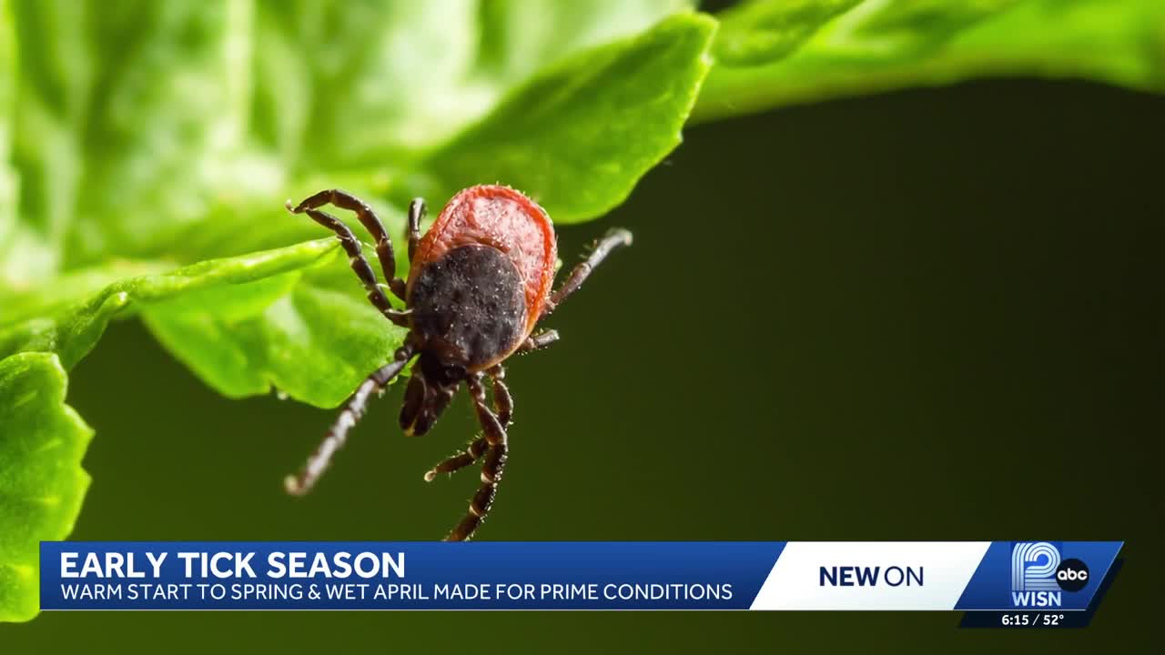 Early start to tick season in Wisconsin
