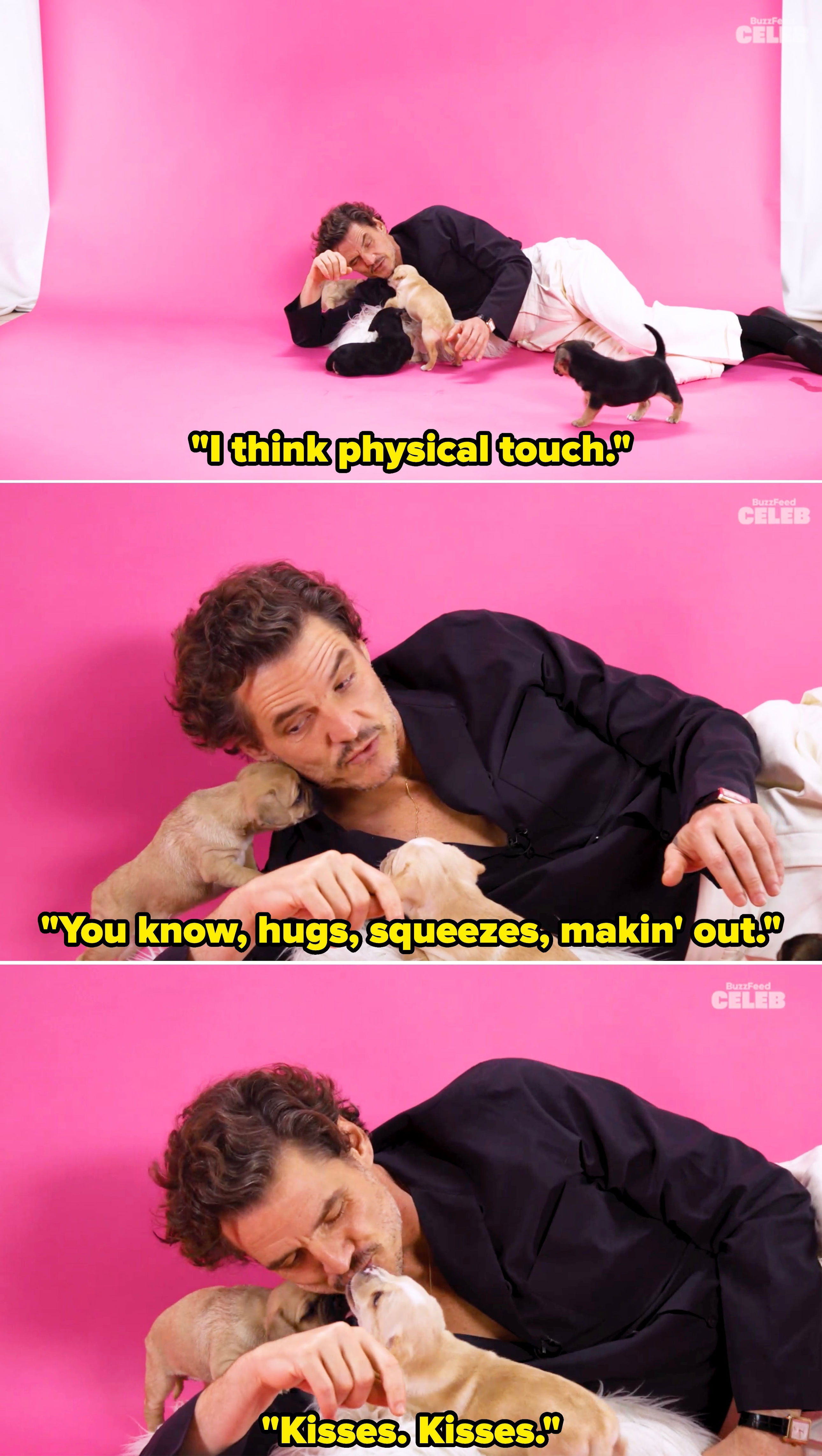Pedro Pascal did the puppy interview — you're welcome