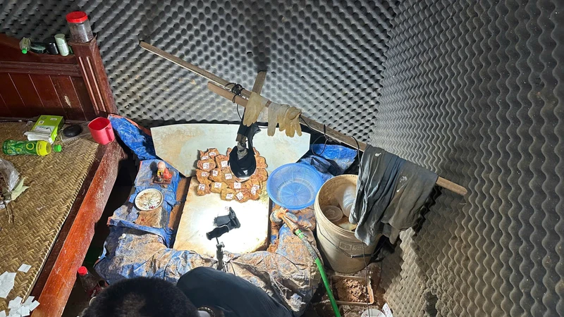 Khởi tố nhóm lừa đảo hàng trăm người bằng chiêu trò livestream 'đổ thạch'