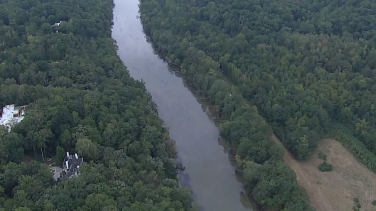 Thousands of fish found dead along Chattahoochee River after flash flooding
