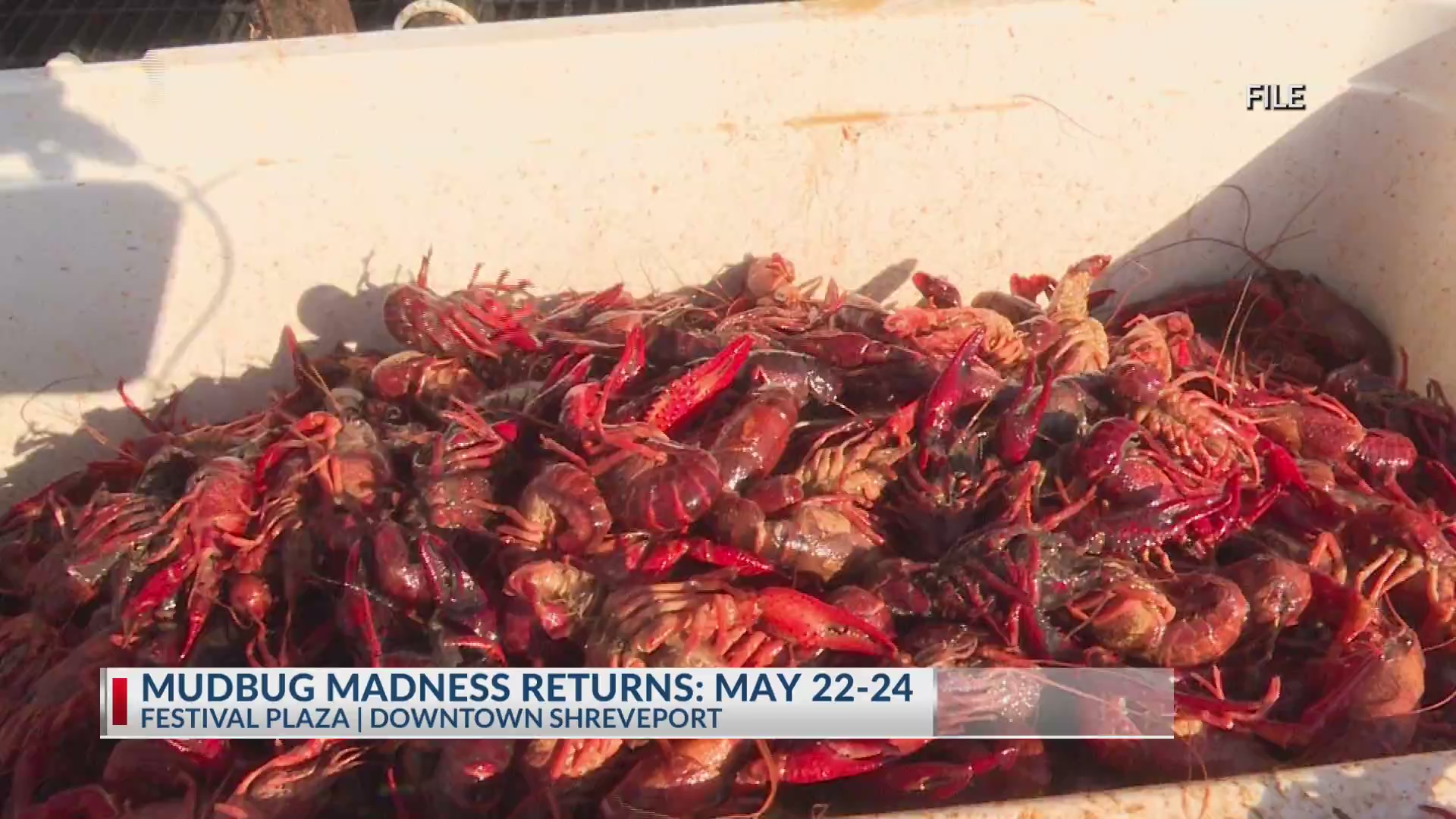 Mudbug madness returns