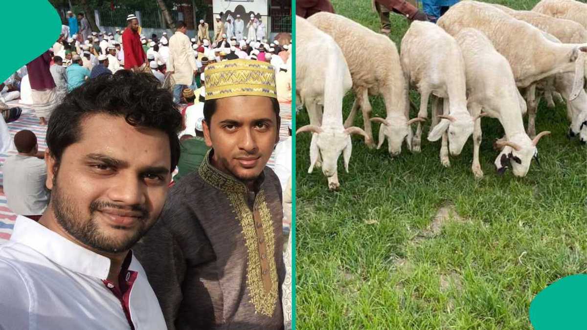 Official announcement: Eid Al Adha public holiday dates revealed in ...