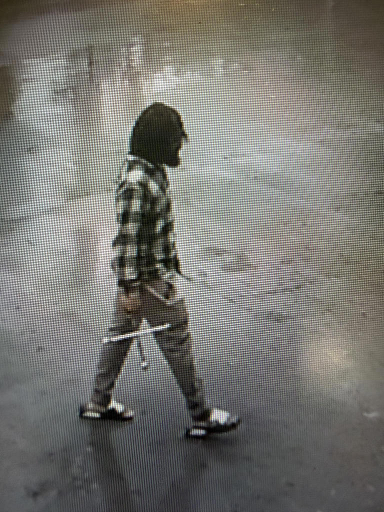 Knoxville police searching for suspect after woman says she was ...