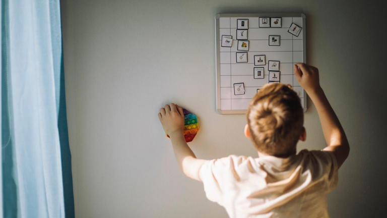 Signature of ADHD in the brain may be a mirage, study suggests