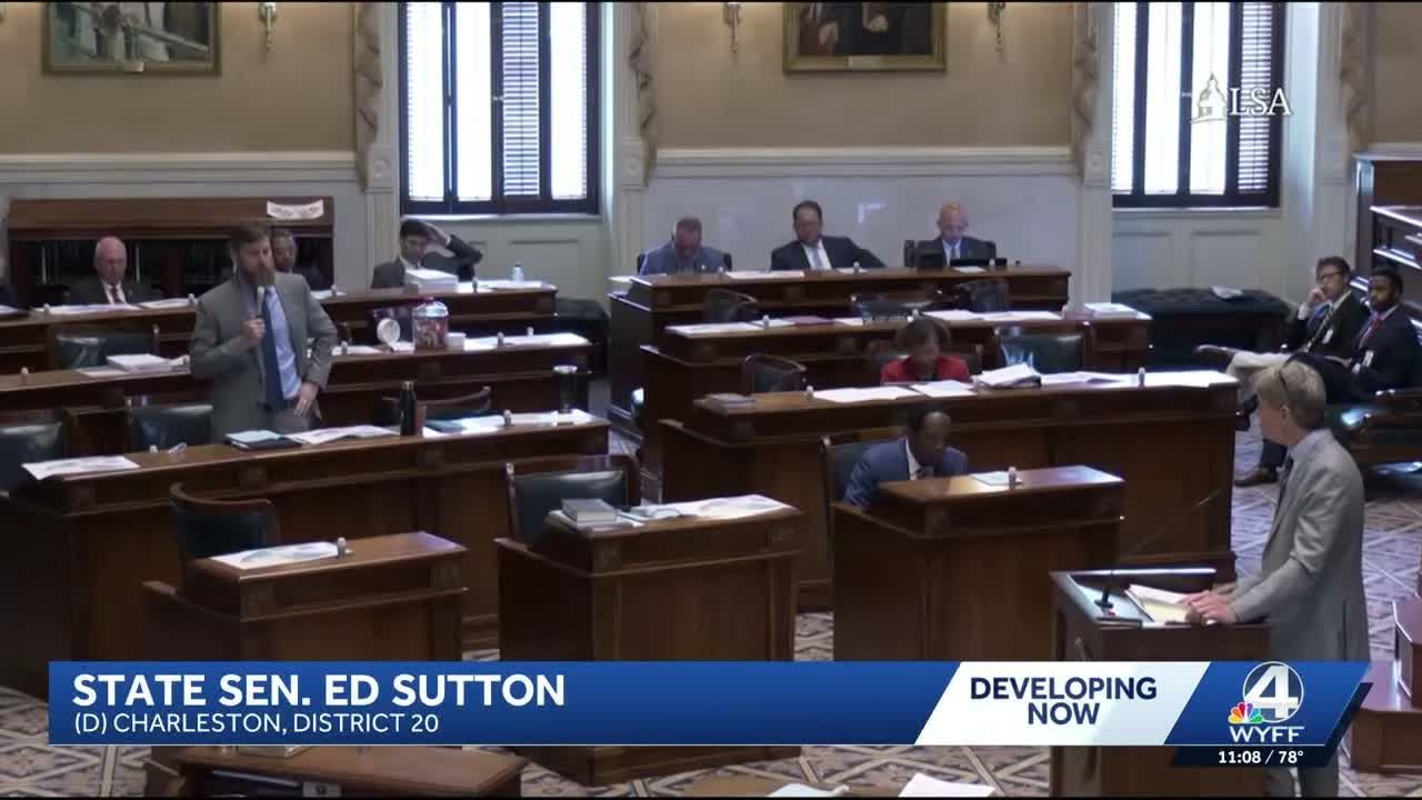 SC Senate begins debate on redistricting bill