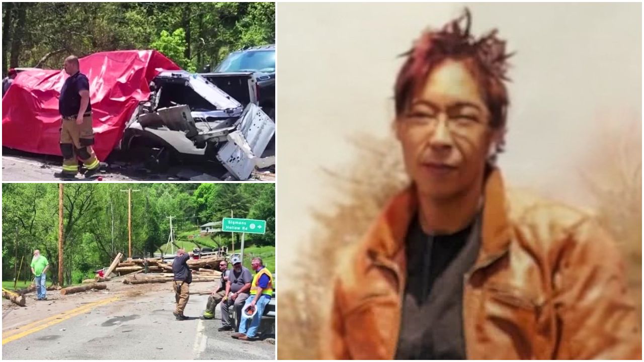 'Outgoing' Virginia woman killed after log truck overturns onto pickup ...