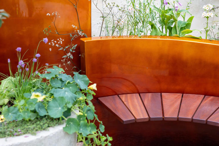 Orange is the 'unexpected red' of garden design – and Chelsea Flower ...