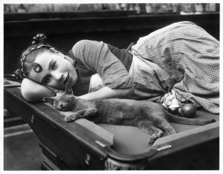 Mrs Chippy, Pepper, Tama... Ces chats célèbres qui ont marqué l’histoire