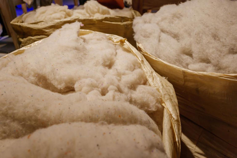 Scientists at UK university turn sheep wool into bone-healing material ...