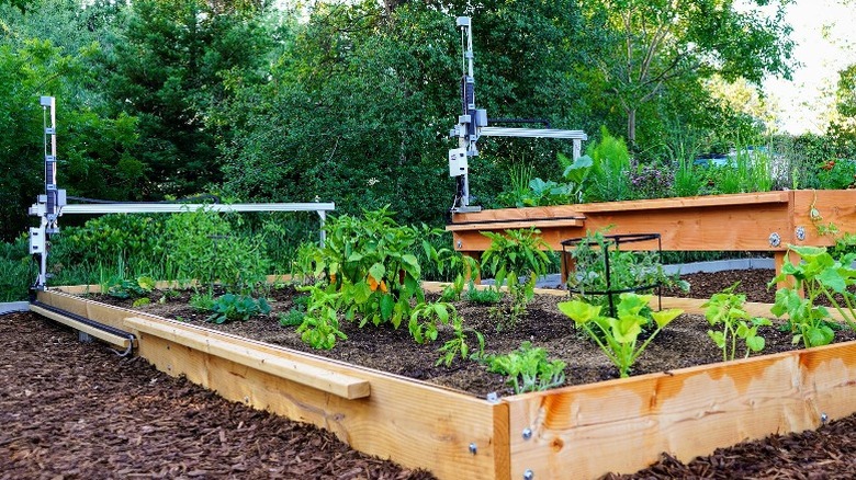 3 Raspberry Pi projects that could be useful for an open garden