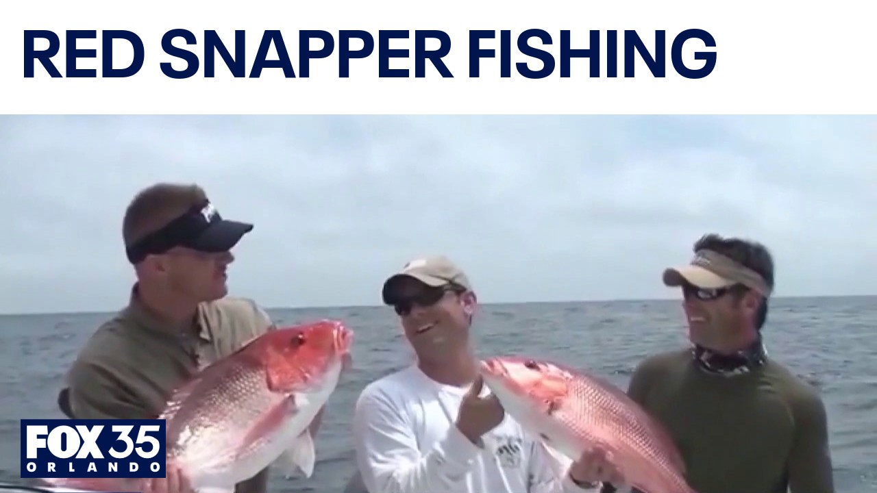 Federal judge halts Florida red snapper fishing in federal waters