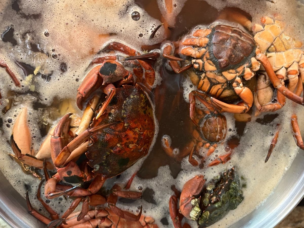 A simple green crab seafood stock