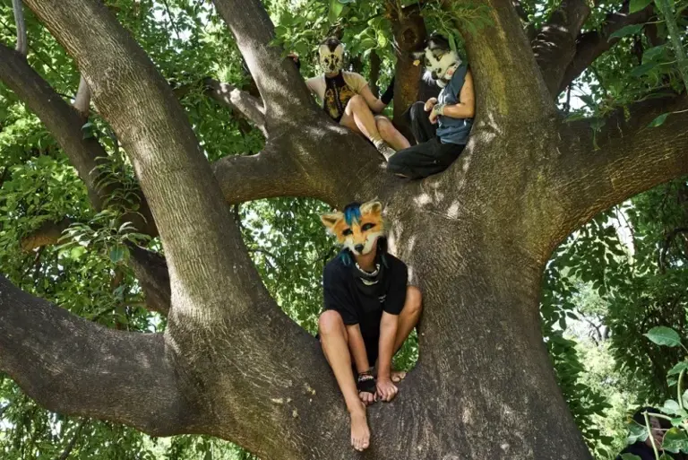 «Θηριανοί» (Therians): Το νέο viral φαινόμενο της Generation Z – Από τα ...