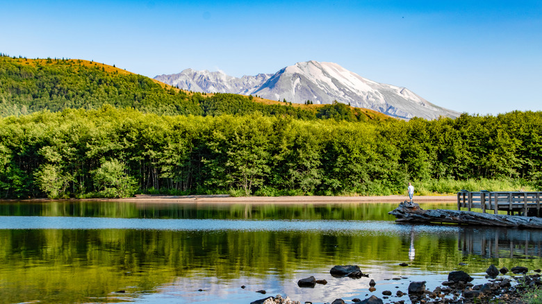 Between Portland and Mount Rainier National Park is Washington's ...