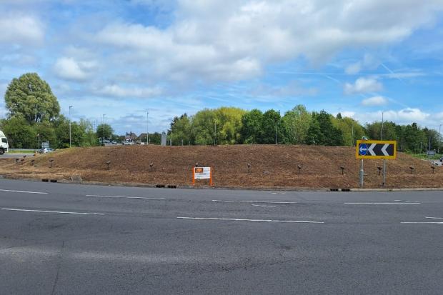 Plans to transform Swindon roundabout into wildflower meadow