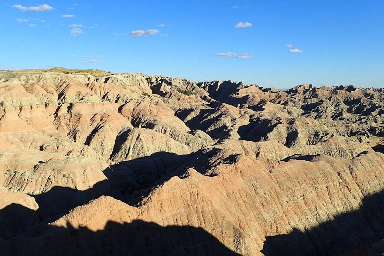 In 1994, two hikers in the Badlands stumbled on a massive ancient ...