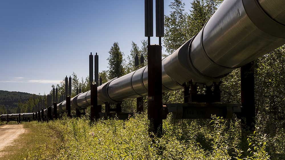 AI energy infrastructure stocks near buy points: 'Pep in the step'