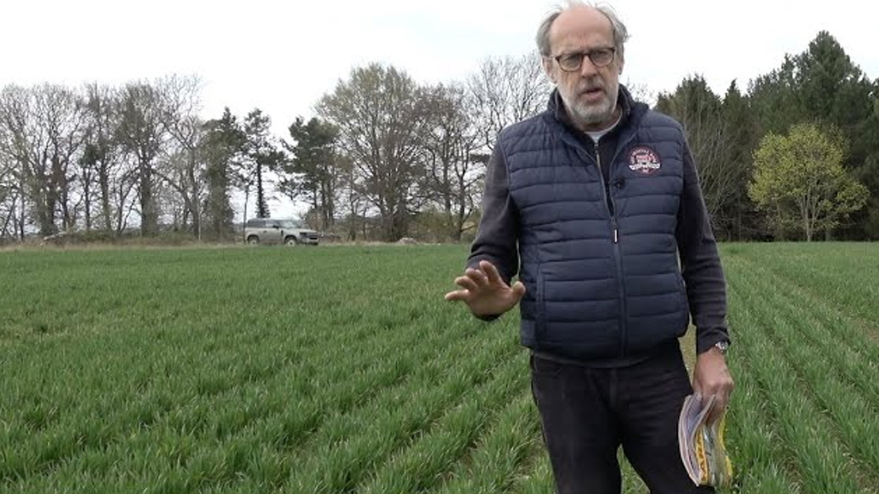 Global food security and the challenges of scaling organic agriculture