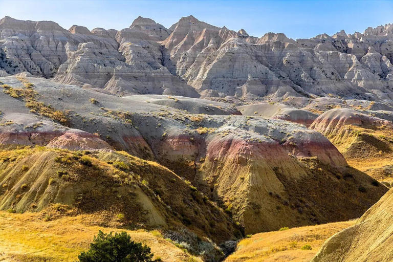 In 1994, two hikers in the Badlands stumbled on a massive ancient ...