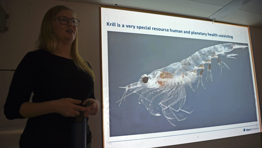 krill-oil-or-fish-oil-for-your-omega-3-boost