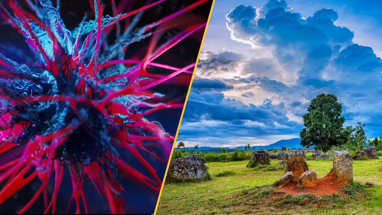Science news this week: Laotian death jars, rice heated to brink, and ...