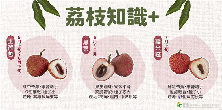 台灣1水果「價格腰斬」 農糧署教3保存妙招：能放一個月
