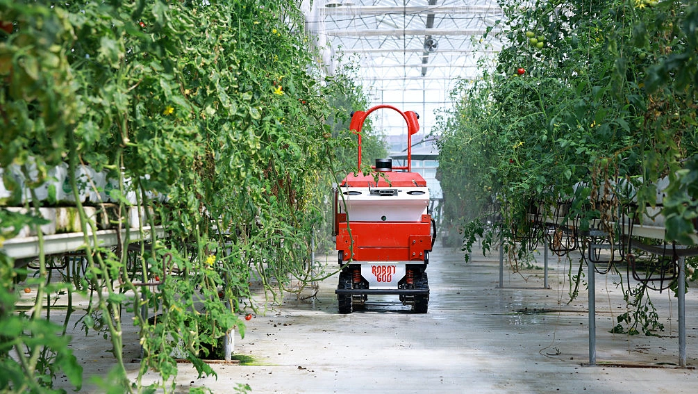 China tests humanoid robots in Fujian tea fields