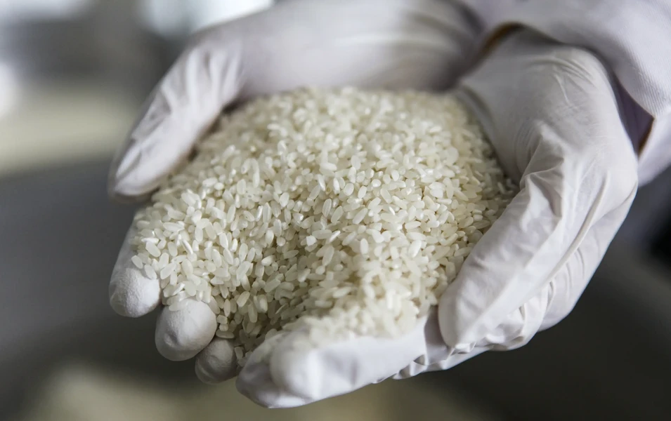 Cibus bets on gene-edited rice to cut farm chemical use