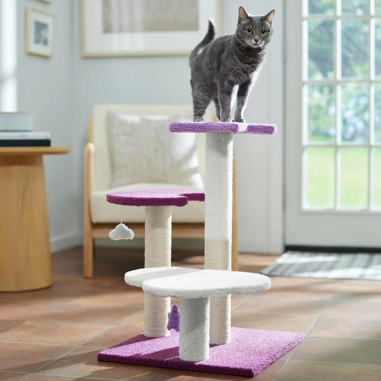 Chewy's adorable celestial cat tree combines style and function for ...