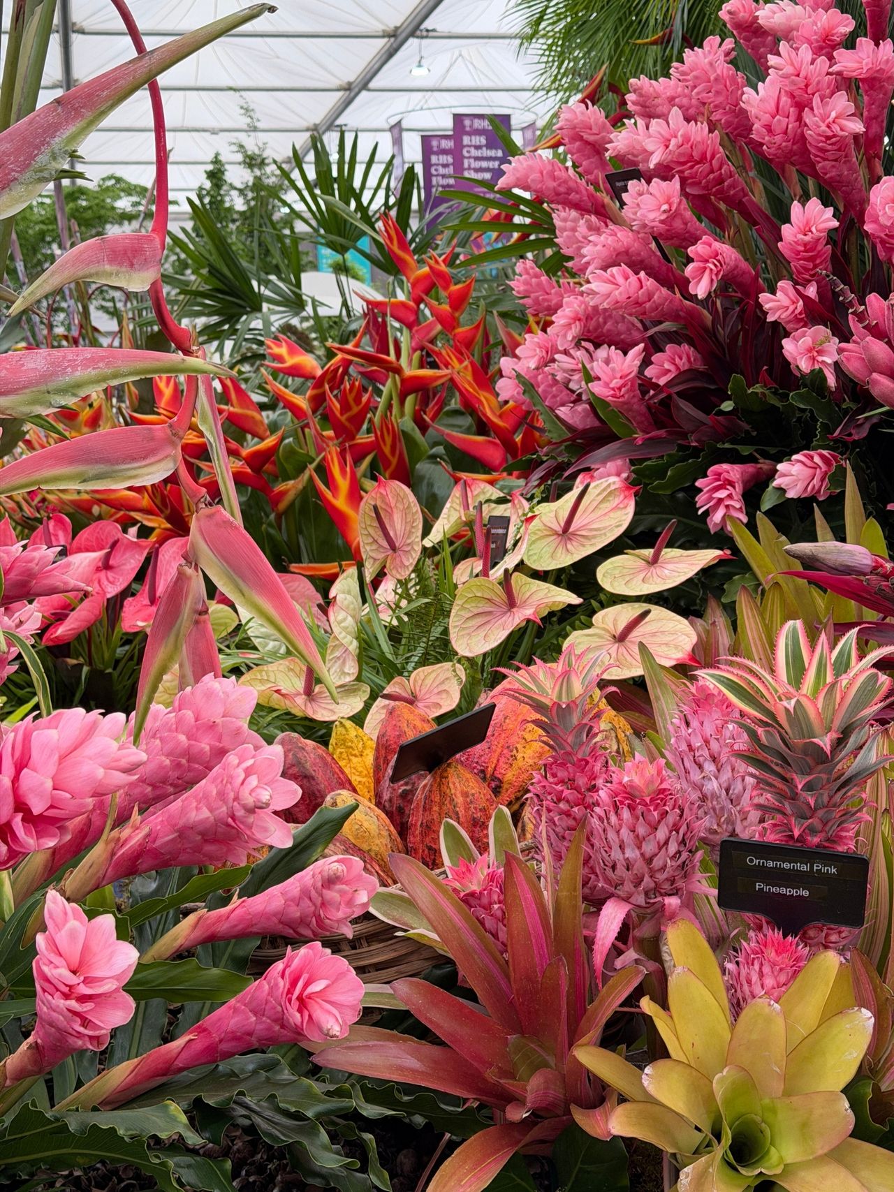 5 garden color trends to inspire your flower beds in 2026 and beyond