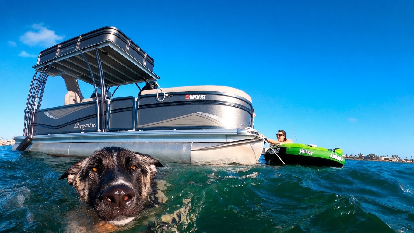 Dog jumps overboard during San Diego double-decker boat trip