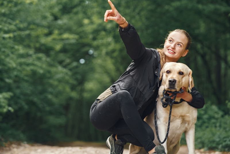12 beautiful signs your dog feels deeply loved, emotionally safe, and truly happy 6