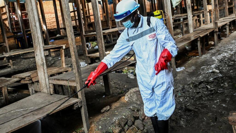 Ebola : dix pays africains risquent d'être touchés par l'épidémie ...