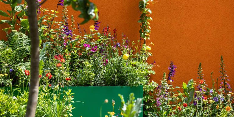 Orange is the 'unexpected red' of garden design – and Chelsea Flower ...