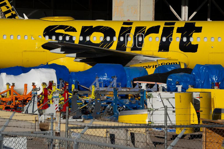 TikTok creator's crowdfunding campaign to buy Spirit Airlines racks up ...