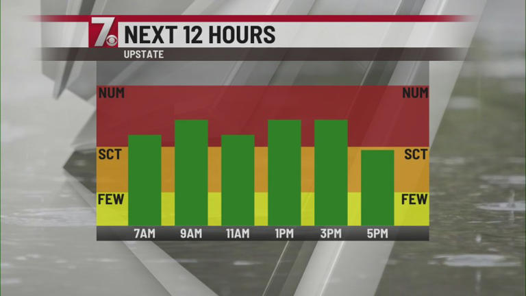 Daily scattered showers and storms to continue