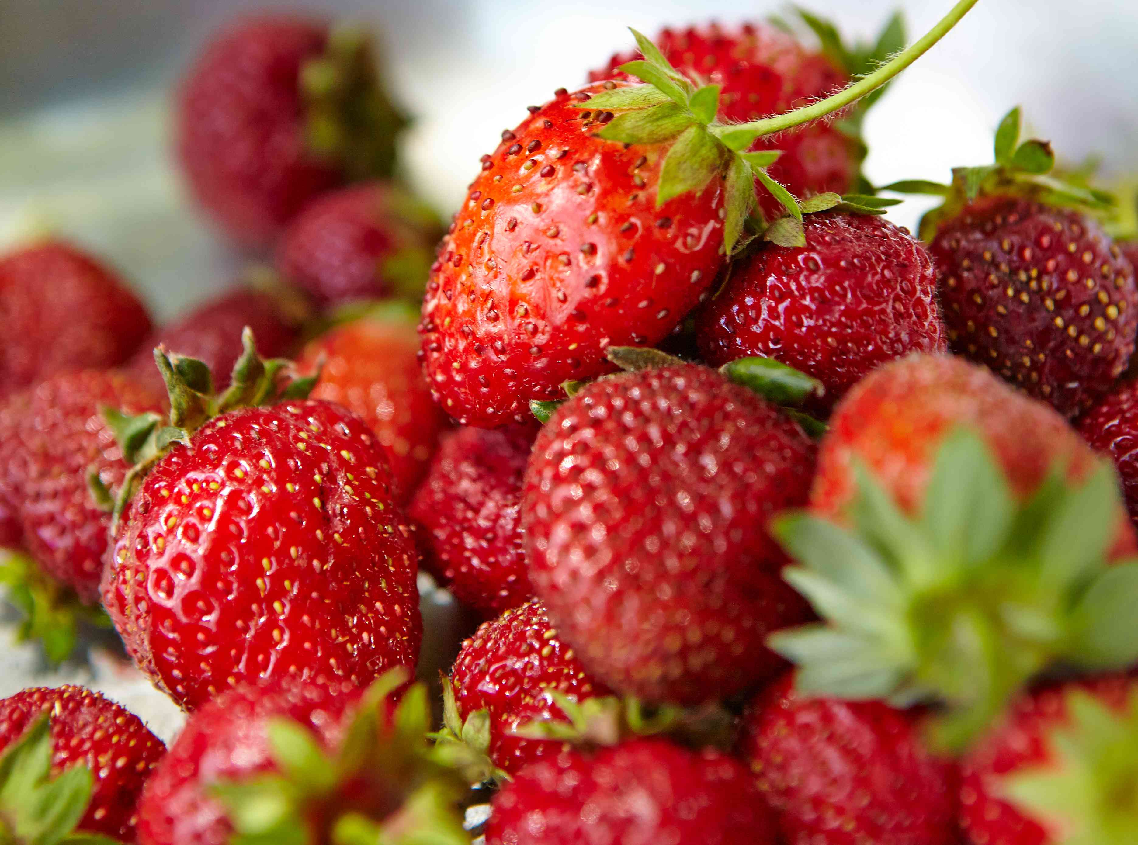 Can an ice water bath rescue mushy strawberries? We put it to the test