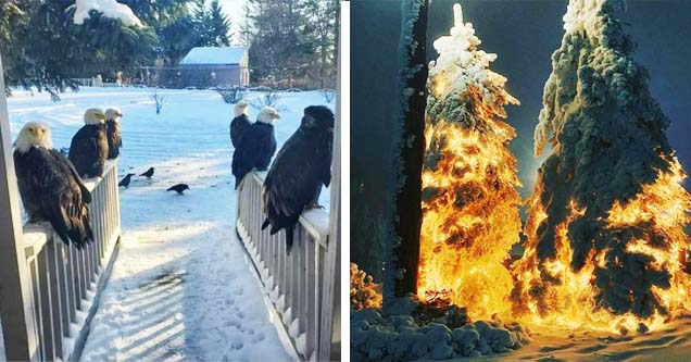 55 cool & random photos you can browse when bored