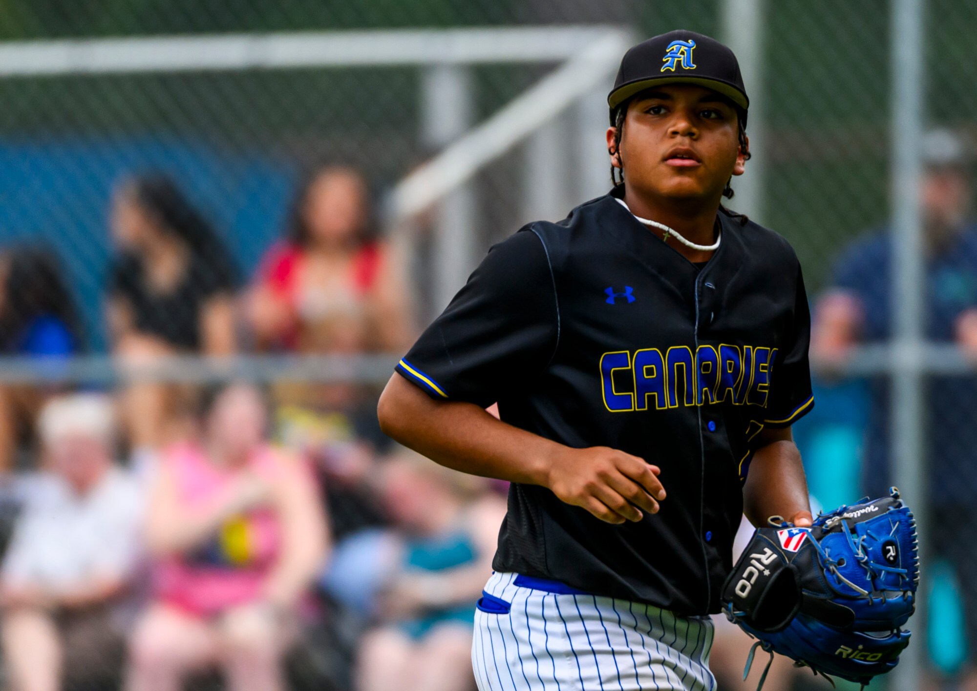District 11 baseball: It’s on to 6A semis for the high-flying Canaries ...