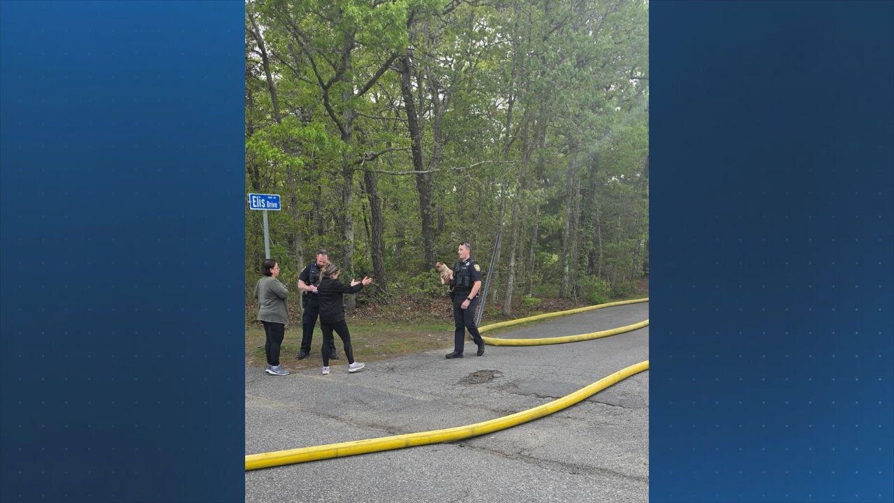 Barnstable police officers rescue puppy from burning home