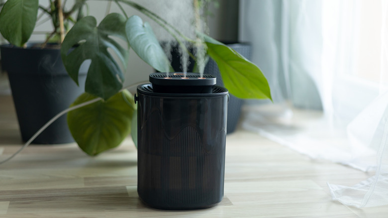 How often do I need to replace the water in a humidifier?