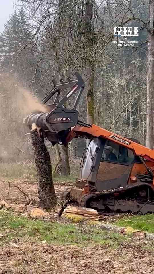 Tracked tree felling machine