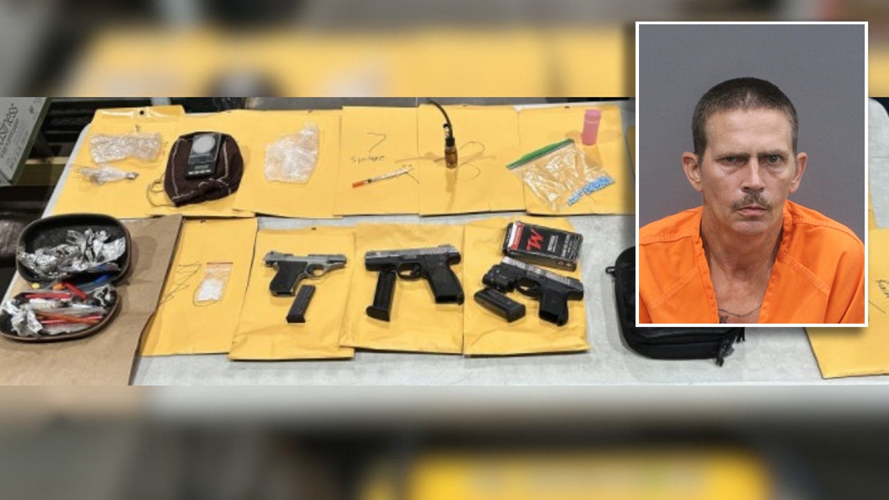 Riverview man arrested after search warrant leads to seizure of guns ...